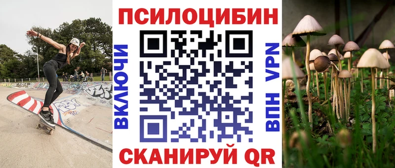 Галлюциногенные грибы Psilocybe Починок